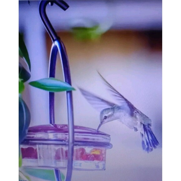 Hanging Set Of 3 Hummingbird Feeder Circular Metal Frame Perch Patio Garden NIP - Picture 6 of 8